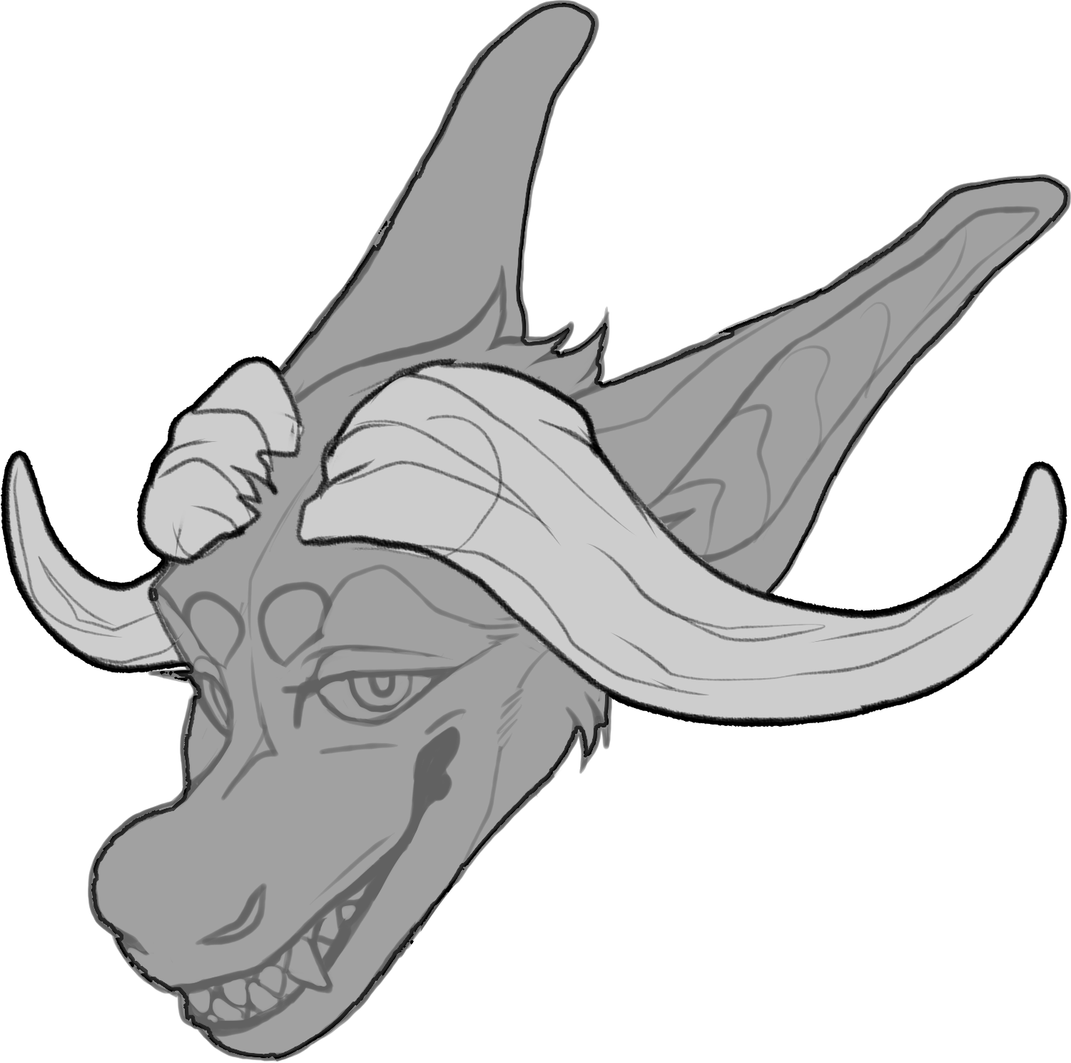 Buffalo — Horn Shape