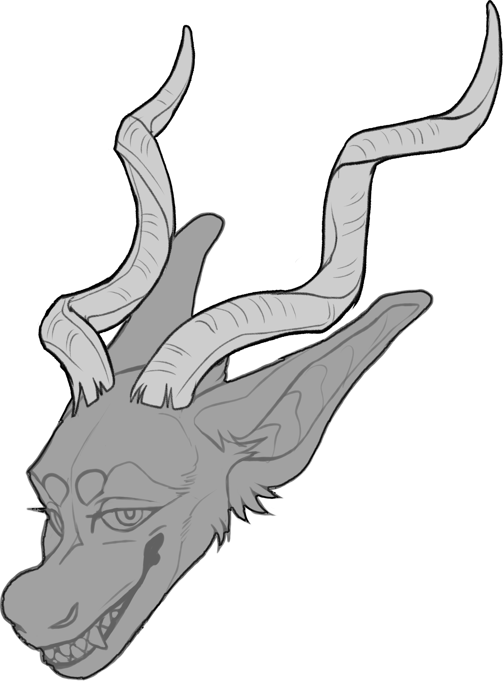 Kudu — Horn Shape