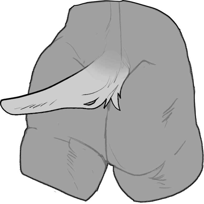 Short — Tail Size
