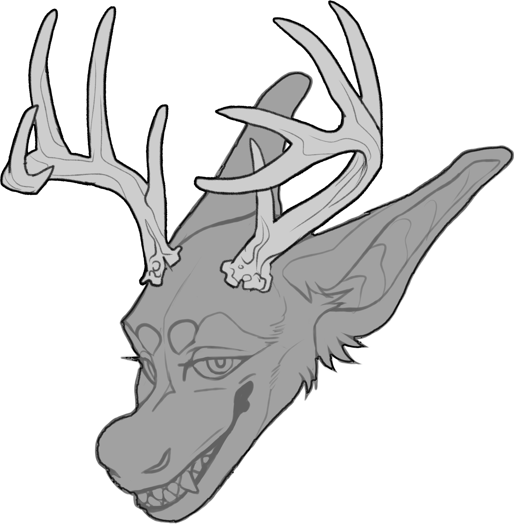 Whitetail — Horn Shape