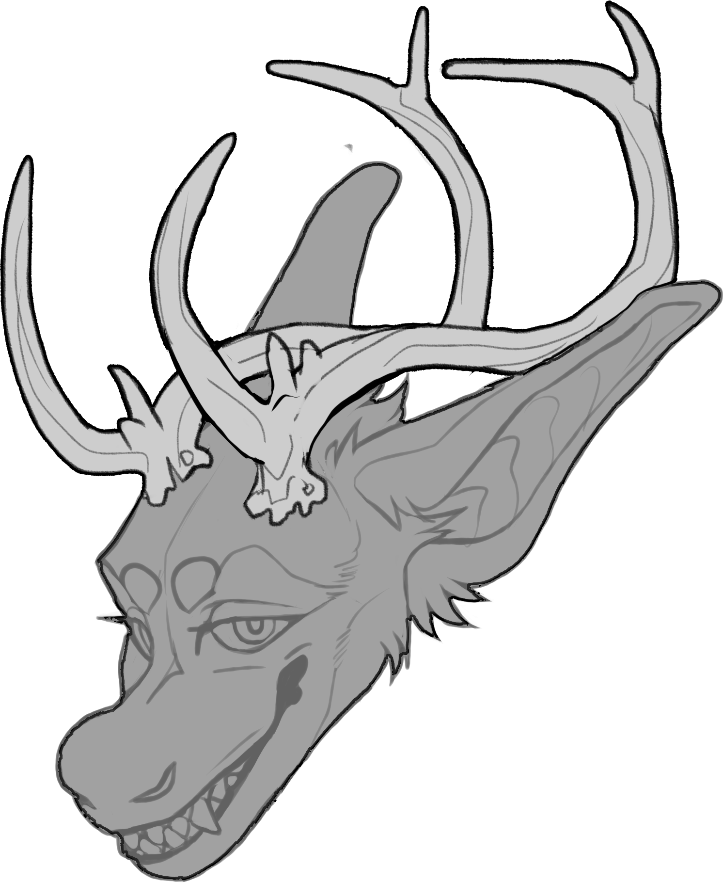 Eld's Deer — Horn Shape
