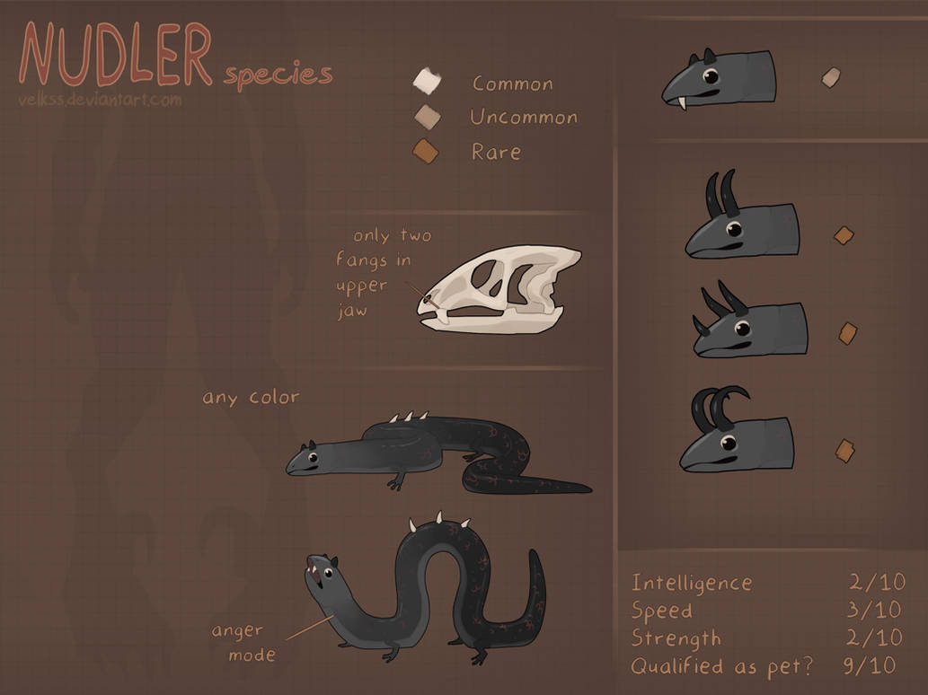 Nudler — species reference