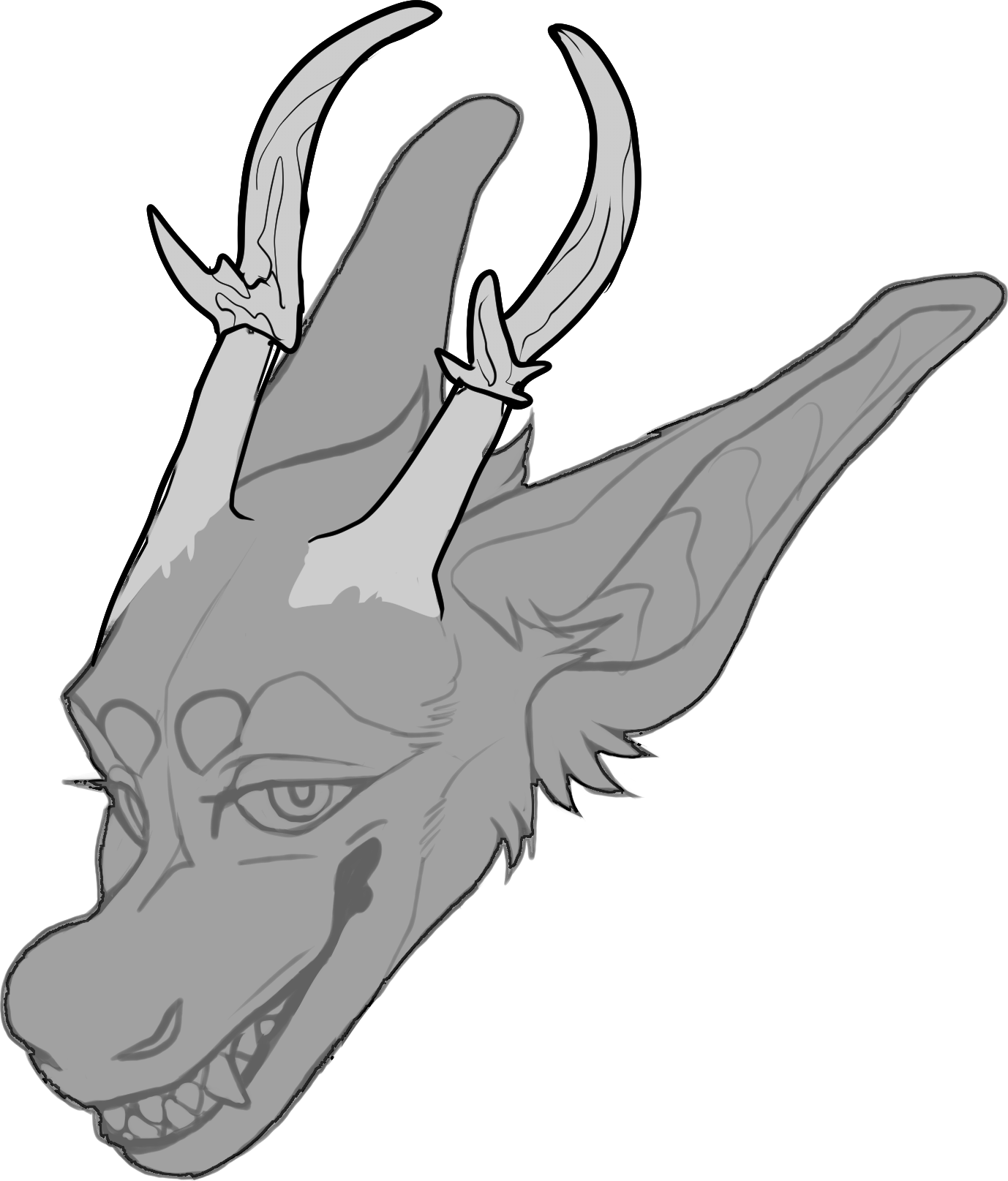 Muntjac — Horn Shape