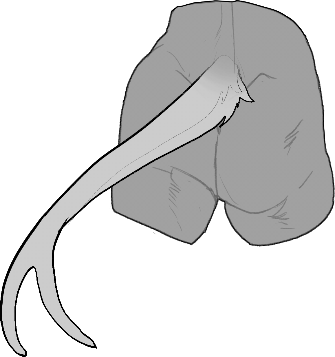 Split — Tail Type