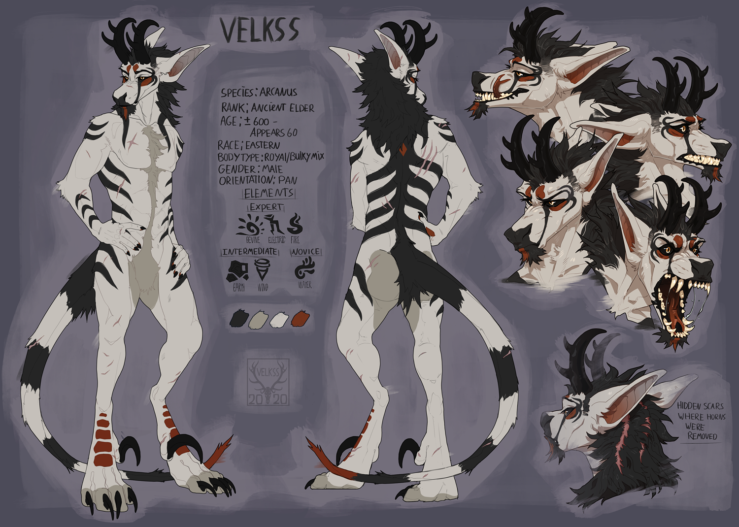 Portrait of Velkss