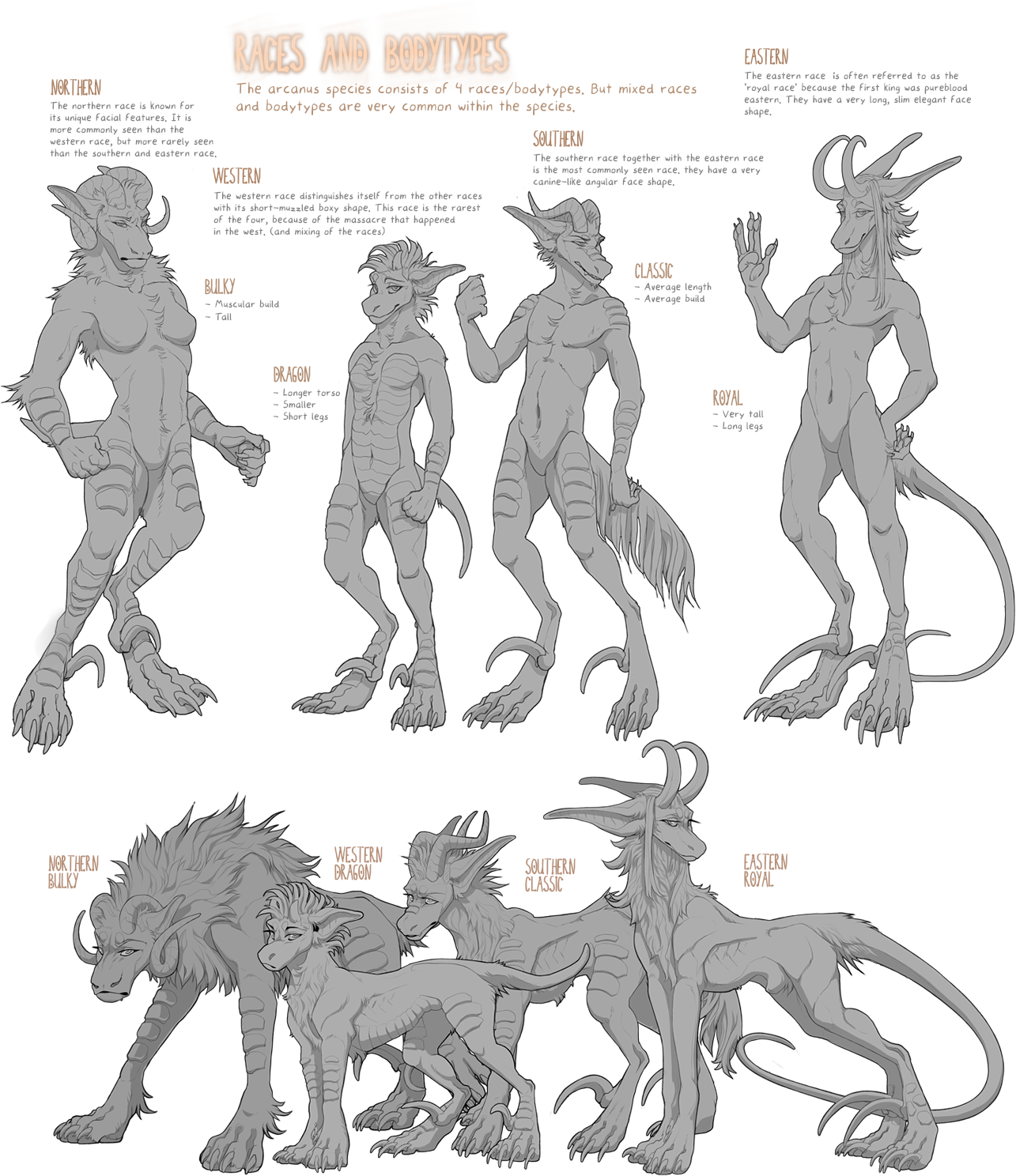 Races and body types plate — silhouettes of the four races and four body types